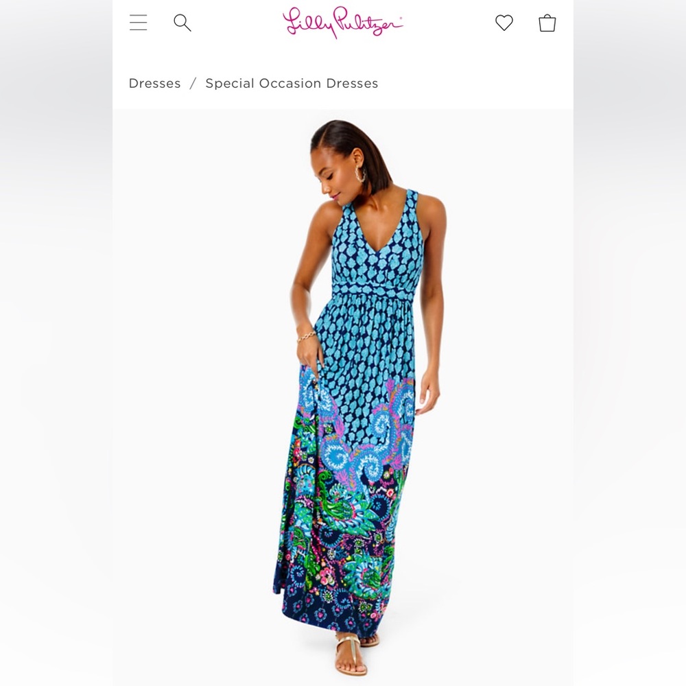 NWT Giorgina Maxi Dress Size 2 in Ride the Wave Beautiful!